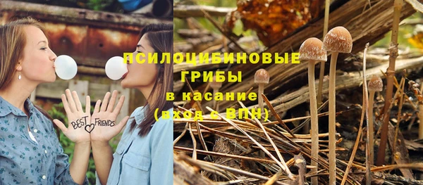 стаф Армянск