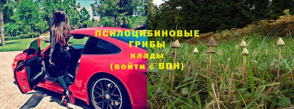 а пвп мука Аркадак